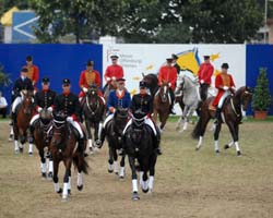 Quadrille auf der Eurochaval in Offenburg. Foto: PM