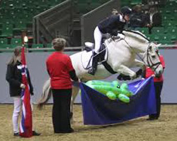 Show in allen Varianten und mit vielen Pferderassen: Foto: HansePferd