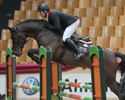 Mit Philipp Schober gibt es einen neuen Leistungsträger in Timmendorf (Poel). Am Wochenende siegte er viermal im sächsischen Klein-Partwitz, einmal auf German Pellets Succes (Foto). Foto: Jutta Wego