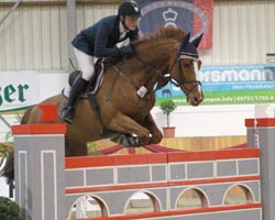 Henry Vaske im Stechen über der Mauer mit Siegerpferd Quinaro. Foto: Jutta Wego