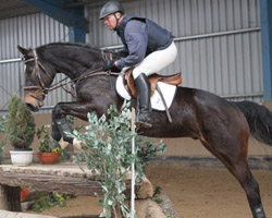 Georg Koch, im letzten Jahr Silbermedaillengewinner bei den Senioren mit Merlin, will in Güstrow auch in diesem Jahr wieder antreten. Foto: Wego