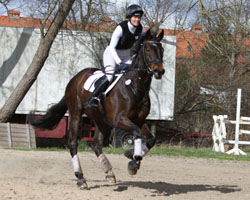 Am 1. April noch in Güstrow am Start, ritt Dr. Martina Reemtsma drei Tage später in Luhmühlen mit dem achtjährigen Henry in einer M-Vielseitigkeit gegen stärkste deutsche Konkurrenz auf den 2. Platz. Foto: Jutta Wego