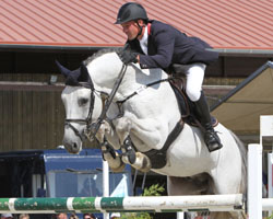 Der 12-jährige Schweizer Hengst Caruso Z v. Carthago Z hier im S-Springen mit Jan Peters in Sommerstorf - wurde in Prussendorf gekört. Foto: Wego