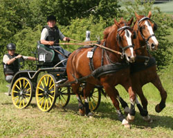 Zu den Siegern in Heidekrug gehörte auch Hans-Werner Meyer aus Semlow. Foto: Wego
