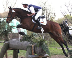 Mit der fünfjährigen Mecklenburger Stute Charlize (v. Champion de Corde) hat Andreas Brandt eine neue Hoffnungsträgerin, die in Pritzwalk mit Wertnote 8,5 Zweite in der Geländepferdeprüfung wurde. Foto: Lohrmann für