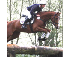 Das beste Ergebnis eines Mecklenburger Reiters erzielte in Klasse A Andreas Brandt auf dem 3. Platz mit Morgendonner. Foto: Lohrmann