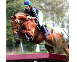 Große Freude bei Hannag Burchard über ihren 3. Platz mit Stilnote 8,3 in der 2. Abteilung Klasse A auf Davida Villa. Foto: Lohrmann