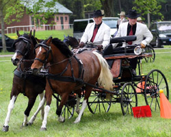 Die beste Platzierung eines MV-Fahrers lieferte Thomas Wolf in der Ponyklasse M auf dem 3. Platz. Foto: Lohrmann