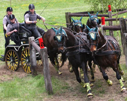 Das beste Ergebnis für Mecklenburg-Vorpommern lieferte Mario Schildt in der S-Kombi auf dem 7. Platz. Foto: Lohrmann