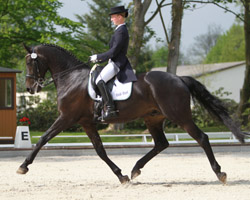 Auf dem Rosario-Wallach Royal Rubinstar gewann Nadine Ollmann in Eldena beide M-Dressuren. Foto: Wego