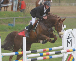 In den M-Springen gehörte Tim Biccine zu den stärksten Reitern der auf Charline einen Sieg und einen 2. Platz verbuchte. Foto: Wego