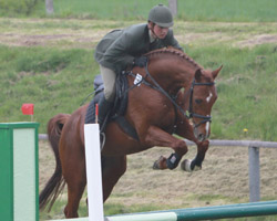 Sieg und 2. Platz in den Springpferdeprüfungen durch Julian Sass und den Coolidge-Sohn Coolmint. Foto: Wego
