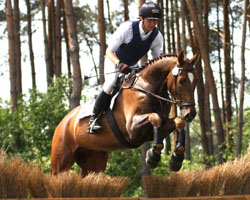 Andreas Dibowski reitet mit Don Olymp ein Mecklenburger Pferd v. D'Olympic, mit dem er jüngst in Luhmühlen und jetzt in Engersen eine Geländepferdeprüfung gewann. Foto: Lohrmann