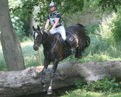 Zwei Platzierungen gab es für Lara Bergmann in Liepe: in der L-Vielseitigkeit wurde sie 13. auf Late-ness (Foto) und in Klasse A auf Pony Caletto Dritte. Foto: Wego