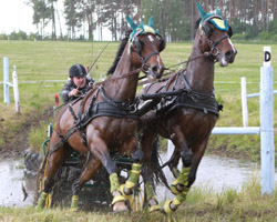 Sieg in der Geländefahrt mit Lauris und Lauda und 3. Platz in der M-Kombi für Mario Schildt aus Groß Nieköhr. Foto: Wego