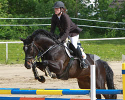 Das Hauptspringen der Klasse M in Teschow gewann Rebecca Wilke (Dabel) auf Veritas. Foto: Wego