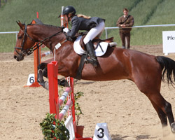 Tolle Ritte lieferte Christin Wascher, die mit Cira-T auch am offenen M-Springen teilnahm und Vierte wurde. Foto: Wego