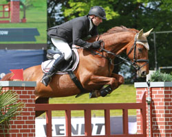 Mit dem 3. Platz im britischen Derby von Hickstead kehrte Matthias Granzow mit der 18-jährigen Mecklenburger Stute Antik nach Hause zurück. Foto: Wego