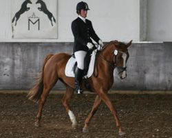 Die Qualifikation zur Dressur Chance 2012 gewann Patricia Wollenberg aus Eldena auf Kalif. Foto: Wego