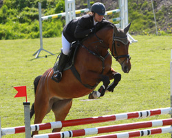 Einmal mehr gehörte Ramona Schilloks aus Ganschow zu den Besten, die ein M-Springen auf Laura und zwei Nachwuchspferdeprüfungen gewann. Foto: Wego