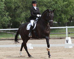Angelika Elsholz hat Florino wieder fit, mit dem sie sich im Stank Georg auf dem 2. und in der Inter I auf dem 4. Rang platzierte. Foto: Wego