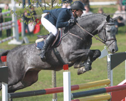 Mit dem Hengst Callboy hat Christoph Lanske das S-Springen am Samstag in Dersekow gewonnen. Foto: Wego