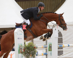 Holger Wulschner gewann auf Colour Line die Qualifikation zum Bundeschampionat mit Wertnote 8,2. Foto: Wego