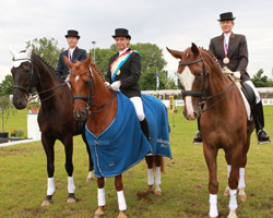 Medaillengewinner der Seniren Dressurreiter Kl. L: v.l. Kathleen Peters, Gabriele Sellmann, Silvia Körk. Foto: Wego