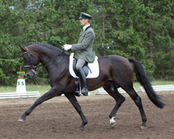 Roland Volkmann gewann etwas überraschend auf dem Mecklenburger Hengst Lewitz die Silbermedaille in der S-Klasse der Dressurreiter. Foto: Wego