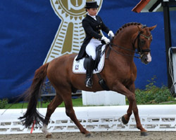 Charlott Maria Schürmann (Gehrde) mit dem Hengst Burlington (v. Breitling W) mit 74,105 Prozentpunkten wesentlichen Anteil am Mannschaftserfolg der Jungen Reiter in Bern. Foto: Feldhaus