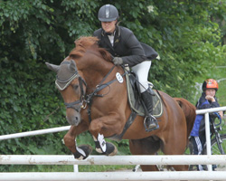 Fünf Pferde hat das Gestüt Ganschow mit Ramona Schilloks für das Trakehner Bundesturnier gemeldet. Foto: Wego