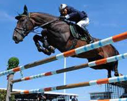 Hans-Dieter Dreher hat mit dem Hengst Magnus Romeo das Global Champion Springen von Chantilly gewonnen.