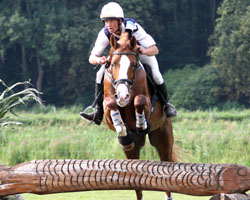 Mit dem Kleinen Deutschen Reitpferd Morgendonner hat Andreas Brandt in Warsow beide Geländepferdeprüfungen gewonnen. Foto: Lohrmann