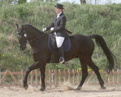 Daniela Grimmel-Herzer aus Neubrandenburg holte sich den Sieg mit Wertnote 6,8 in der Trensen Aufgabe L5 auf dem 14-jährigen Grande. Foto: Wego