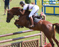 Viermal siegte Franziska Lass in Wittenbeck, zwei Stilspringen gewann sie auf Pony Vivus vM und zwei L-Springen auf ihren neuen Großpferd Caroline (Foto). Foto: Wego