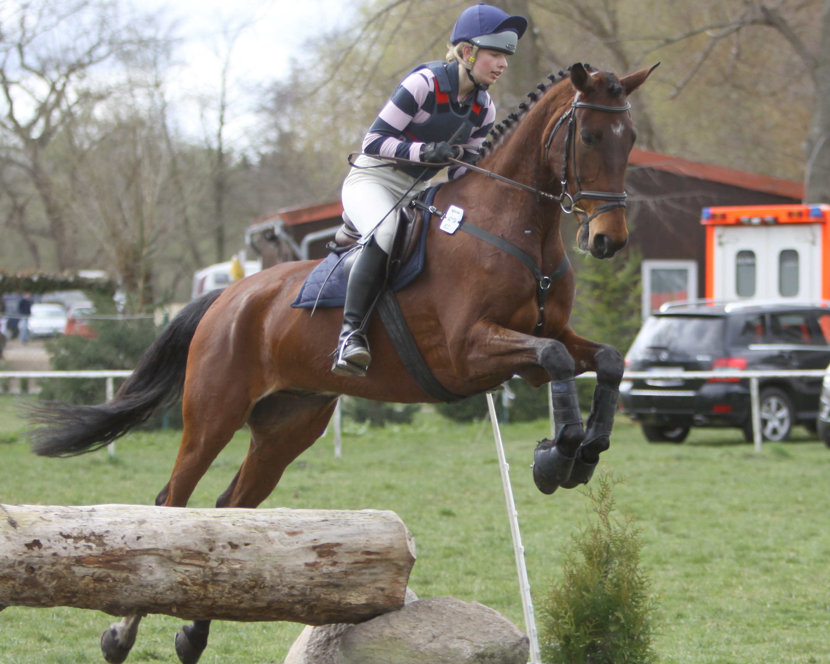 Einen 7. Platz in der L-Vielseitigkeit belegte Amelie Riedesel aus Altkamp mit dem Mecklenburger Elando. Foto: Wego