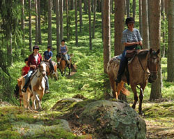 Ausritt Horse Adventure.