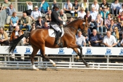 Die Rheinländer Stute Cassiopaya (v. Cassini Boy / Lanciano) wurde mit Jana Freund Championess bei den dreijährigen Stuten und Wallachen. Die Rheinländer Stute Cassiopaya (v. Cassini Boy / Lanciano) wurde mit Jana Freund Championess bei den dreijährigen Stuten und Wallachen.