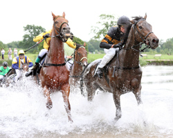 Das Seejagdrennen gewann in einem knappen der Hamburger Jockey Cevin Chan auf Alanco. Foto: Frank Sorge Das Seejagdrennen gewann in einem knappen der Hamburger Jockey Cevin Chan auf Alanco. Foto: Frank Sorge
