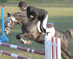 Eine Abteilung A-Springen gewann Andreas Brandt mit dem Ponyhengst Haeram. Eine Abteilung A-Springen gewann Andreas Brandt mit dem Ponyhengst Haeram.
