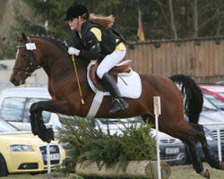 Adelheidsdorf: 8. Sportpony Verkaufstage: