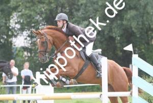 Reitturnier in Parkentin