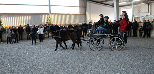 Zahlreiche Gäste sind zur Eröffnung der neuen Reithalle nach Klein Nieköhr gekommen. Foto: Jutta Wego