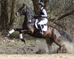 Auf dem Halbblüter Henry v. Heraldik xx aus einer Mecklenburger Stute von Juventus wurde Dr. Martina Reemtsma Zehnte im CIC** von Bad Harzburg und rückte damit in der Wertung um den Derby-Dynamic-Cup auf den 2. Platz vor. Foto: Wego