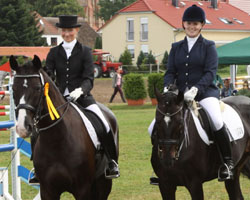 Die 22-jährige Jenny Eggers aus Gadebusch gewann auf High Life die M-Dressur vor Laura Martens (Granderheide) auf Sandro Primero. Foto: Wego