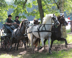 Das zweite MV-Ponygespann das um die Meisterschaft kämpfte stellte Daniel Fritz vor, der die Silbermedaille gewann. Foto: Wego