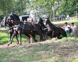Steffen Engelhard war Mario Schildt dicht auf den Fersen und holte sich Silber in der Meisterschaft. Foto: Wego