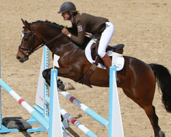 Der sechsjährige Mecklenburger Ponywallach Vivus vM (Z.u.B.: Patricia von Mirbach, Kühlungsborn) lieferte mit Franziska Lass im Sattel im Finale der Springponys auf dem 5. Platz das beste Ergebnis für ein Pferd/Pony aus Mecklenburger Zucht. Foto: Jutta Wego