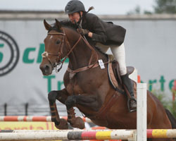 Susan Harloff aus Bannemin gewann in diesem Jahr das Finale zum Steffen Wiek Gedächtniscup in Schwarbe aud D’Olympia Sun. Foto: Jutta Wego