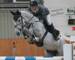 Mit beneidenswerter Technik auf den Spuren ihres Vollbruders Chap und ihres Vaters Cellestial ind die sechsjährige Stute Chin Chilla, die mit Paul Wiktor die Springpferdeprüfung Klasse M gewann. Foto: Jutta Wego